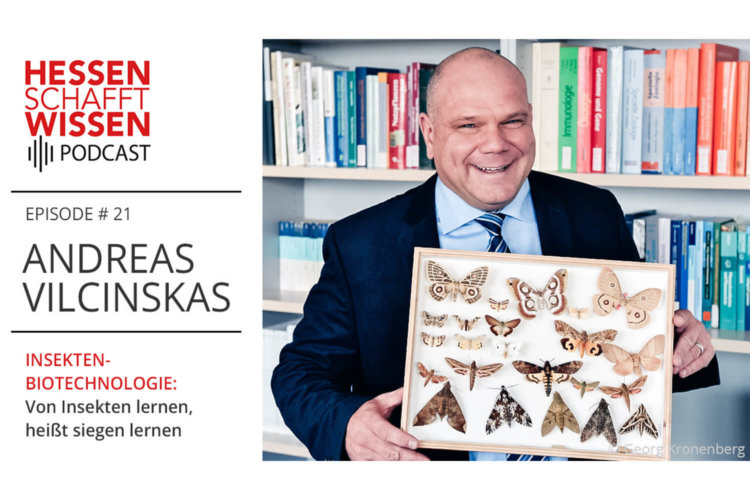 Instagram Betreuung der Initiative "Hessen schafft Wissen" © Marketingagentur justZARGEScommunicate!