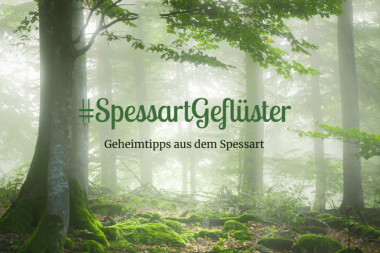 E-Mail Newsletter für Spessart Tourismus © Marketingagentur justZARGEScommunicate!