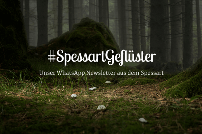 WhatsApp Newsletter #SpessartGeflüster für Spessart Tourismus © Marketingagentur justZARGEScommunicate!