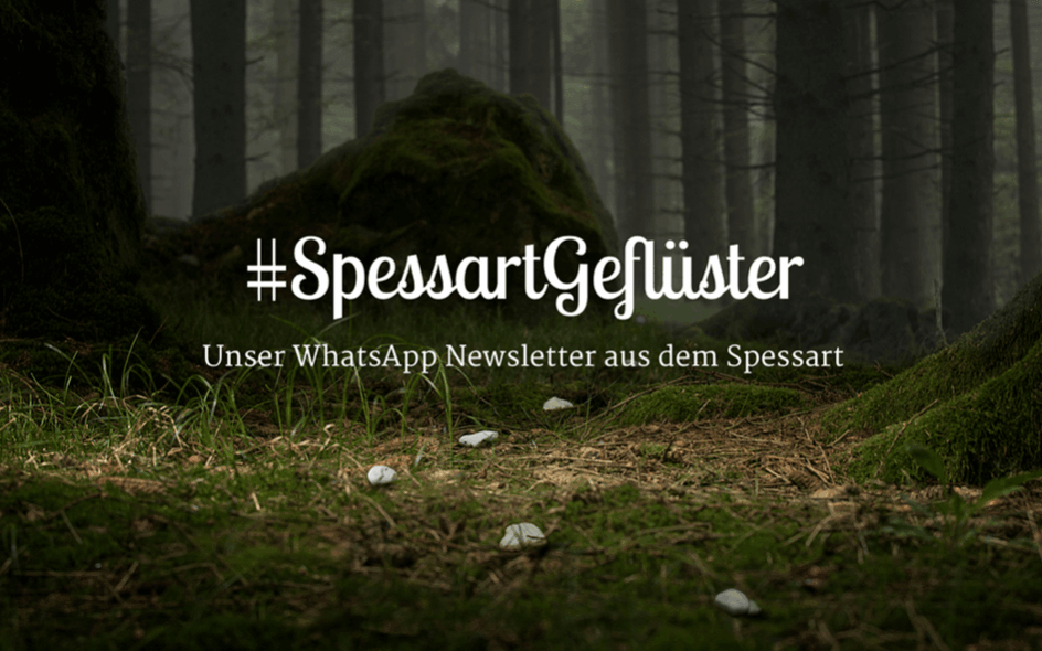 WhatsApp Newsletter #SpessartGeflüster für Spessart Tourismus © Marketingagentur justZARGEScommunicate!