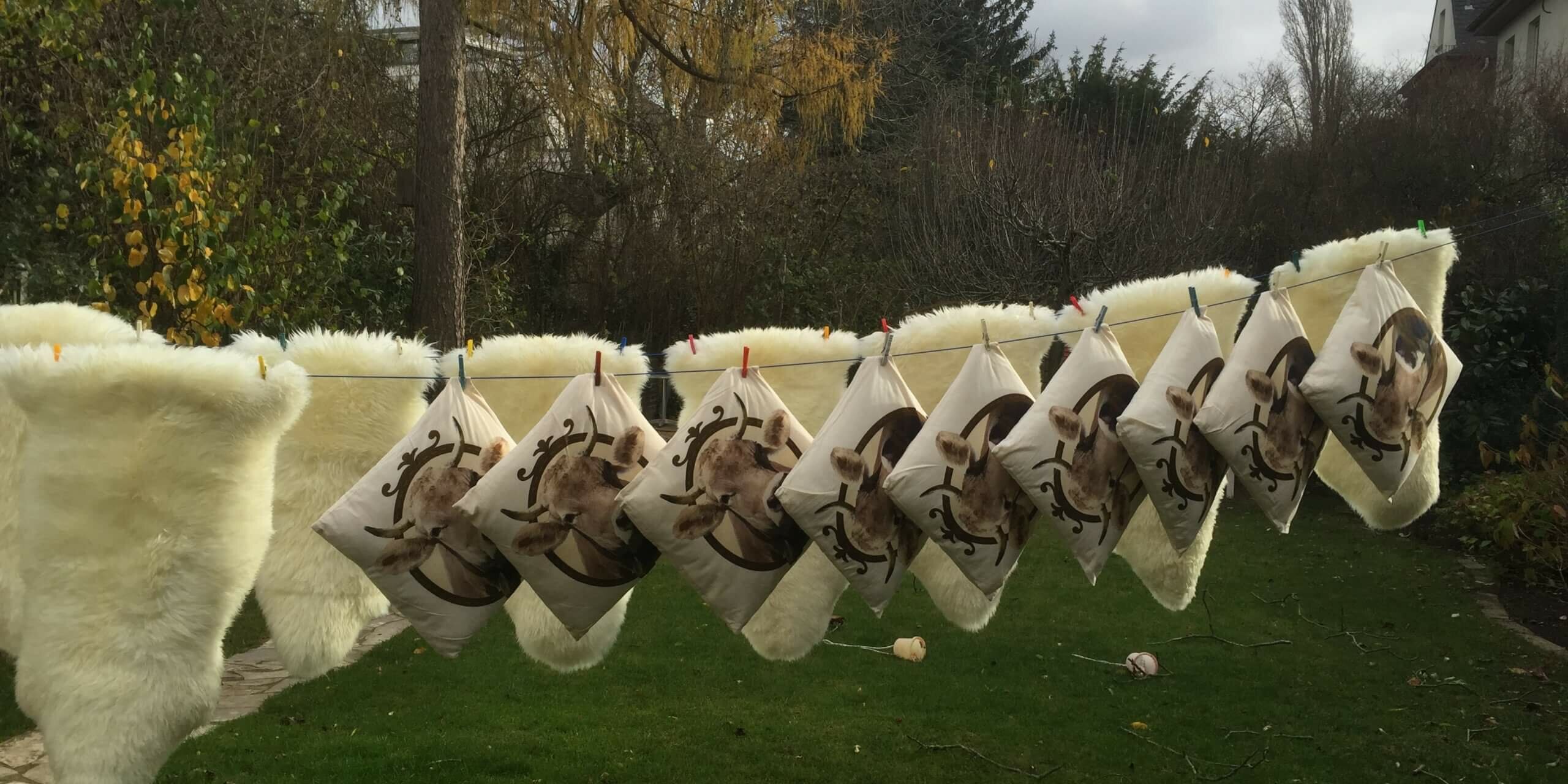 Ganzheitliches Marketing - Packaktion für die Deutsche Bahn - Chur Zug