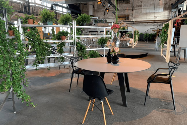 Back to live- Ausstellung: Events unter Covid-19 Bedingungen: Nischen und Bestuhlungsvariante