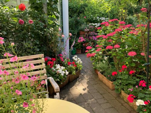 Caroline Schaefer im Garten - Meet the Team © Marketingagentur justZARGEScommunicate!